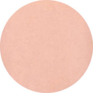 SP19